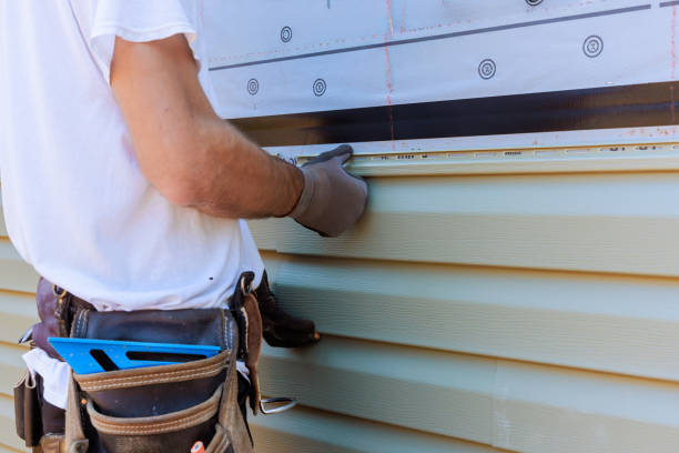 Affordable Siding Repair solutions in Aurora, MN